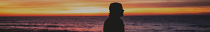Narcissistic Abuse Counselling Matt Fox